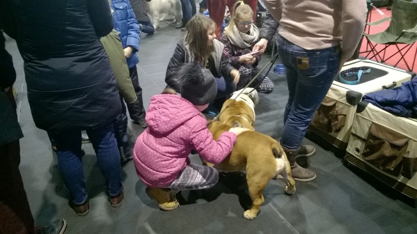 Każdy miał okazję porozmawiać z wystawcami. Oni sami też...