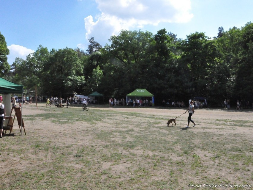 Piknik Przyjaciół Schroniska dla Bezdomnych Zwierząt na Barbarce [Zdjęcia]