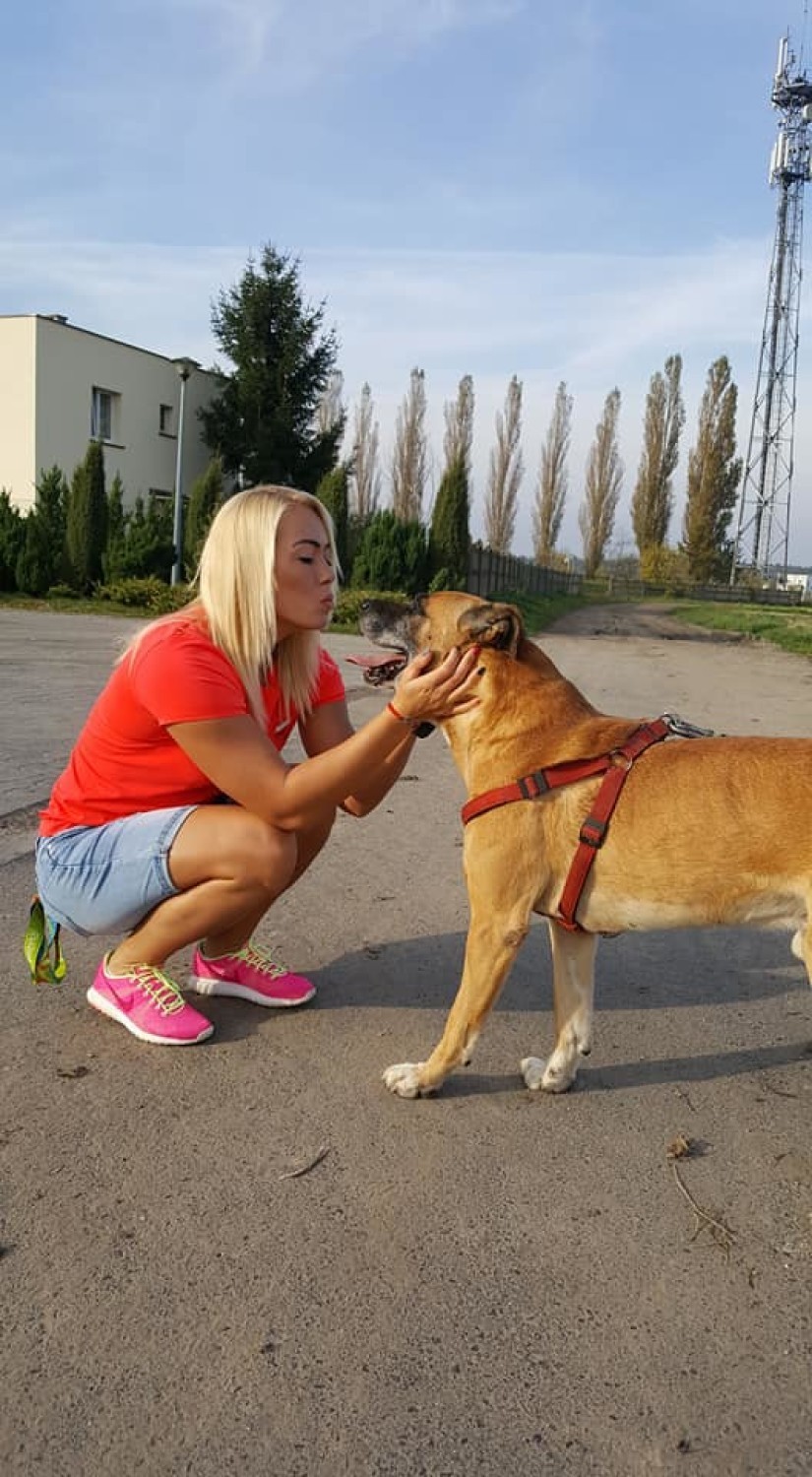 Wicemistrzyni olimpijska odwiedziła psiaki z przytuliska w Gołuchowie