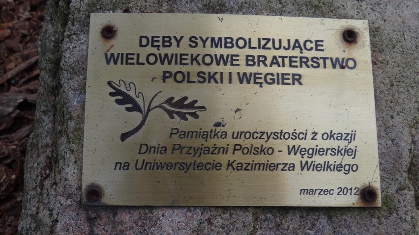 Dzień Przyjaźni Polsko-Węgierskiej w Bydgoszczy [zdjęcia, wideo] 