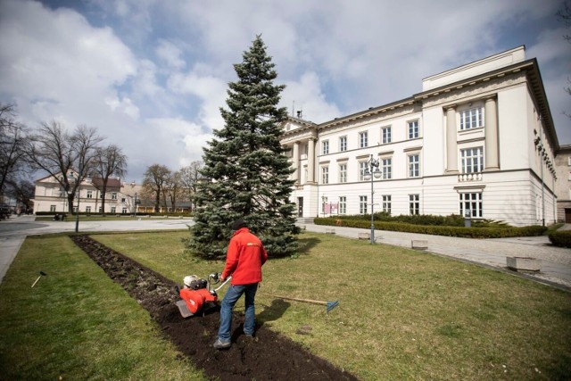 Przed siedzibą Urzędu Miejskiego w Radomiu już trwają prace. 

Na kolejnych slajdach zobacz efekty prac firmy EKO-FLORA w Radomiu w poprzednich latach oraz kwiaty, które pojawią się na skwerach i w gazonach w mieście >>>