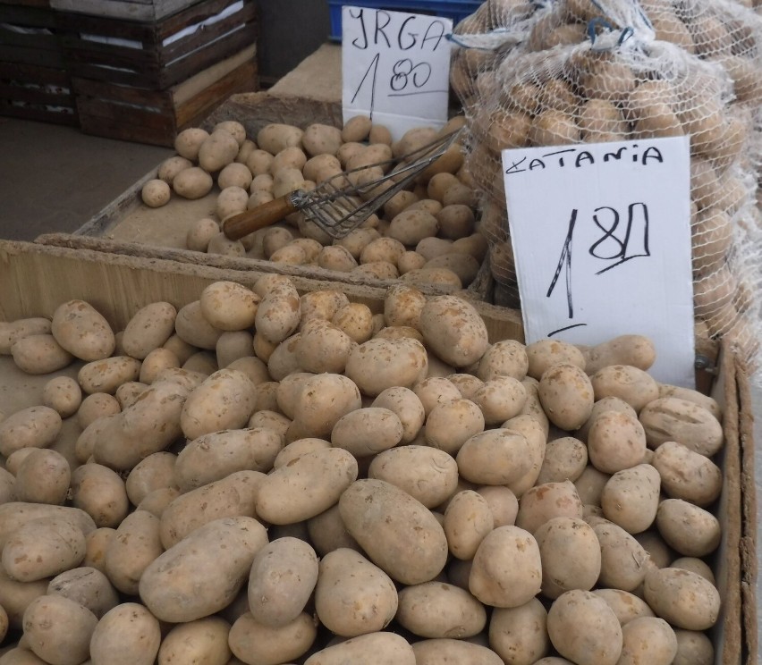 Ziemniaki 1,80 za kilogram