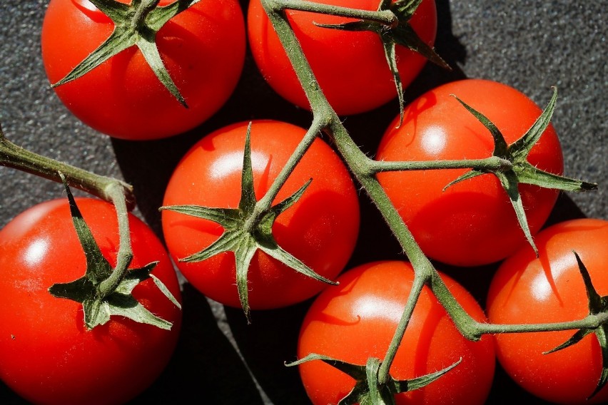Z kilku krzaczków pomidorów możesz zebrać całkiem sporo...