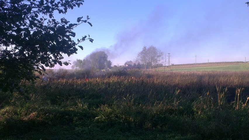Pożar trawy w miejscowości Psary
