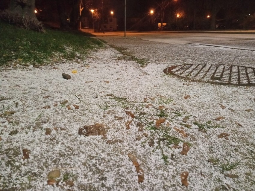 W Koninie i okolicach spadł pierwszy śnieg. Kiedy spadnie znowu? Prognoza 