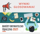 Budżet Obywatelski 2020 w Opocznie. Wiadomo, które projekty zostaną zrealizowane w przyszłym roku [LISTA]