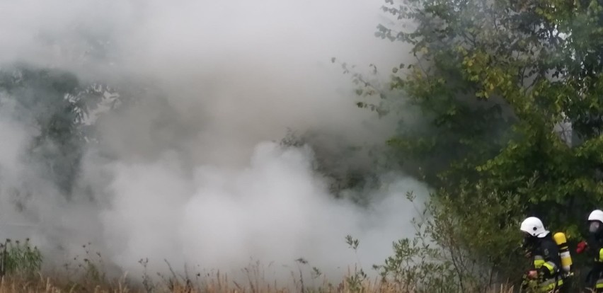 Przy ul. Niedzielnej stoi kilka budynków gospodarczych, w...