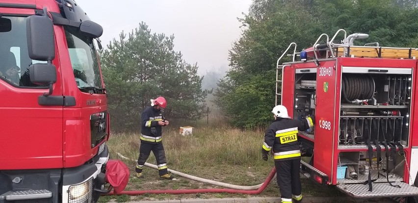 Jak relacjonuje dyżurny PSP w Bydgoszczy, ogień objął ok. 30...