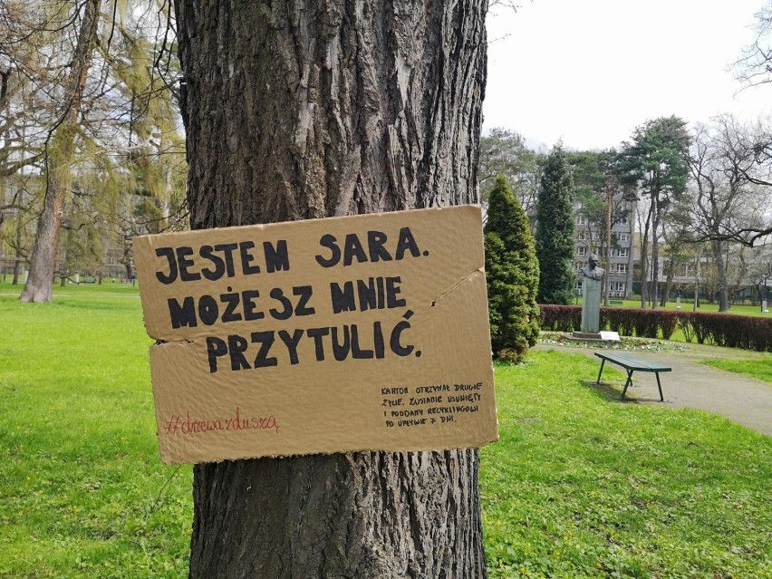 24.04.21 krakow
park jordana park krakowski tekturowe...