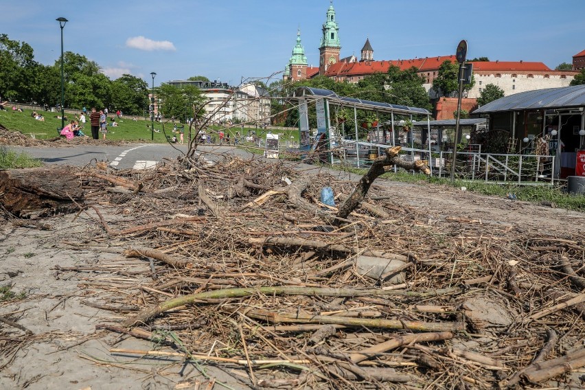 Kraków. Ogrom śmieci na bulwarach Wisły, czas na wielkie sprzątanie