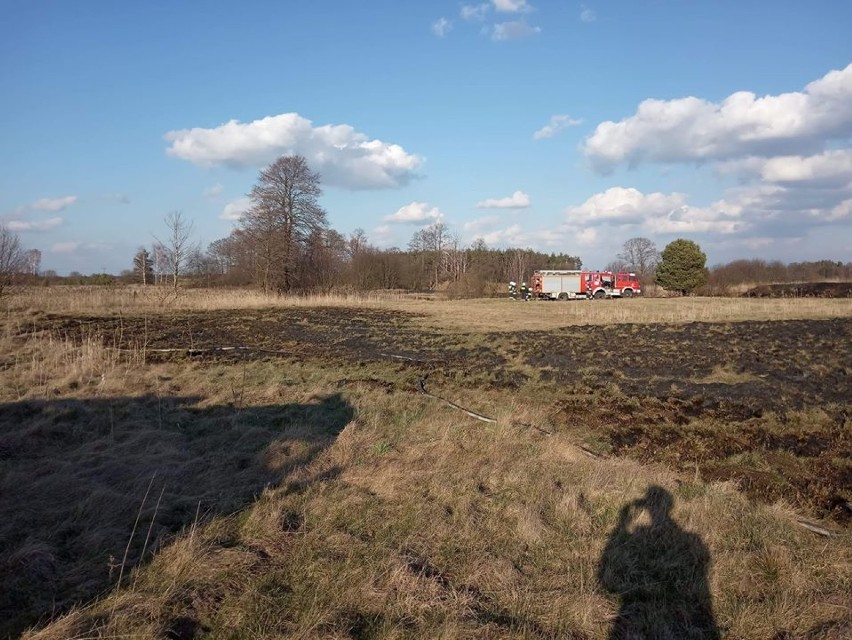 Strażacy gaszą pożary suchych traw. Podpalenia w gminie Gidle