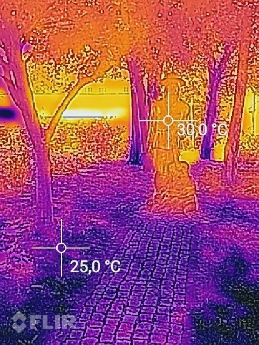 Upały w Opolu. Temperatura w cieniu drzew w pobliżu pomnika...