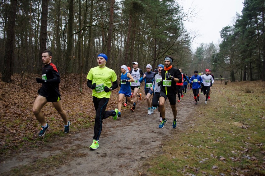 Maraton Kampinoski 2015. Pobiegną w sercu parku narodowego