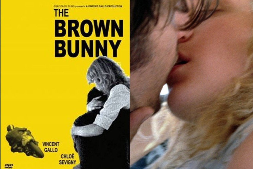 Brązowy królik (The Brown Bunny) - 2003...