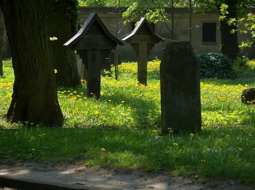 Lapidarium Rzeźby Nagrobnej we Wschowie założono w 1609 r....