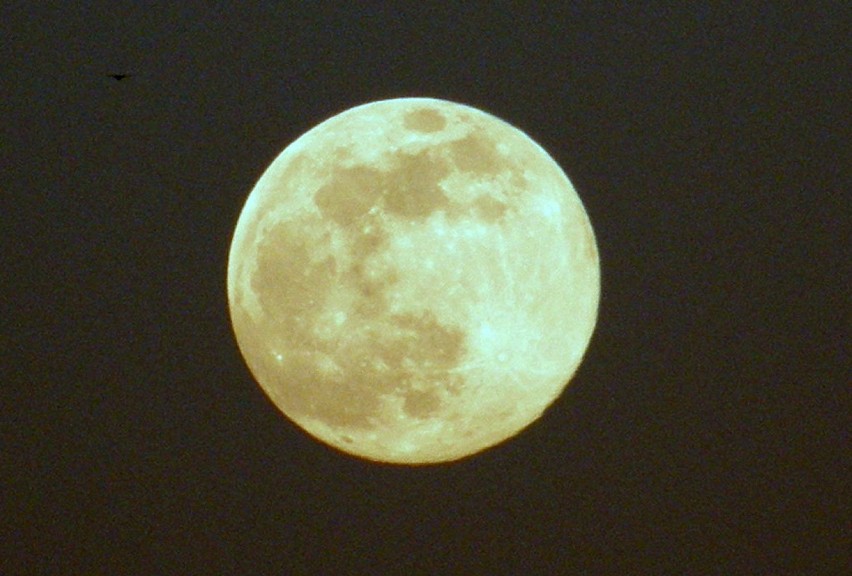 Tarnów. Dziś Księżyc jest wyjątkowo wielki i piękny. Różowa Pełnia Księżyca [ZDJĘCIA]