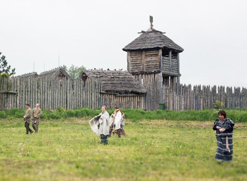 Pruszcz Gdański. Goci sieją kwiaty na Faktorii. Kwietne łąki podbijają serca pruszczan |ZDJĘCIA