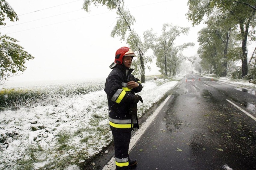 Pamiętacie majowy śnieg w Legnicy? to już dwanaście lat minęło, zobaczcie zdjęcia