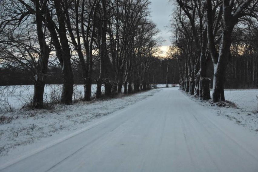 Powiat nowotomyski: Przypominamy, jak wygląda... śnieg