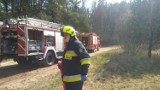 Pożary suchych traw w powiecie radomszczańskim. Strażacy wyjeżdżali 8 razy