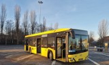 Nowe autobusy hybrydowe Solaris na ulicach Dąbrowy Górniczej. Są wyposażone m.in. w Wi-Fi, gniazda USB i monitoring 