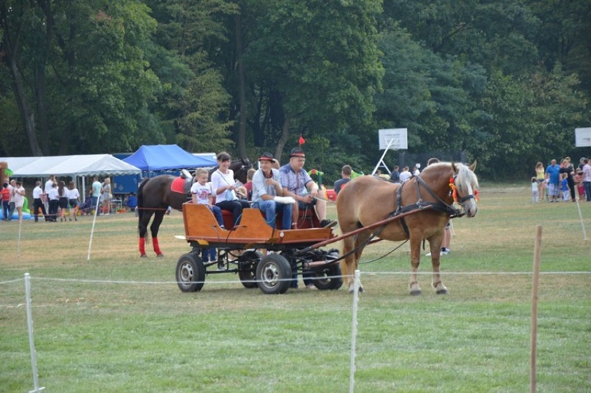 Dożynki w Dalikowie 2015