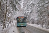 PKM Jaworzno: św. Mikołaj w barwach PKM będzie jeździć autobusami