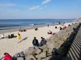 Camping Baltic w Kołobrzegu do jesieni bez zmian. Jeśli radni się zgodzą