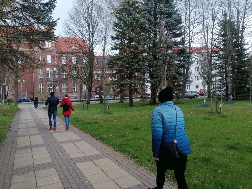 Obelisk ku czci ofiar zbrodni katyńskiej w centrum Kołobrzegu? Ruszają konsultacje