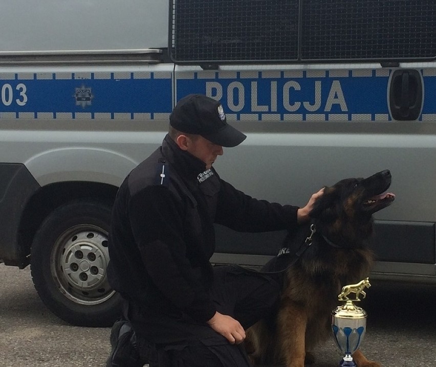 Duet z Malborka - policjant i pies na podium w województwie pomorskim