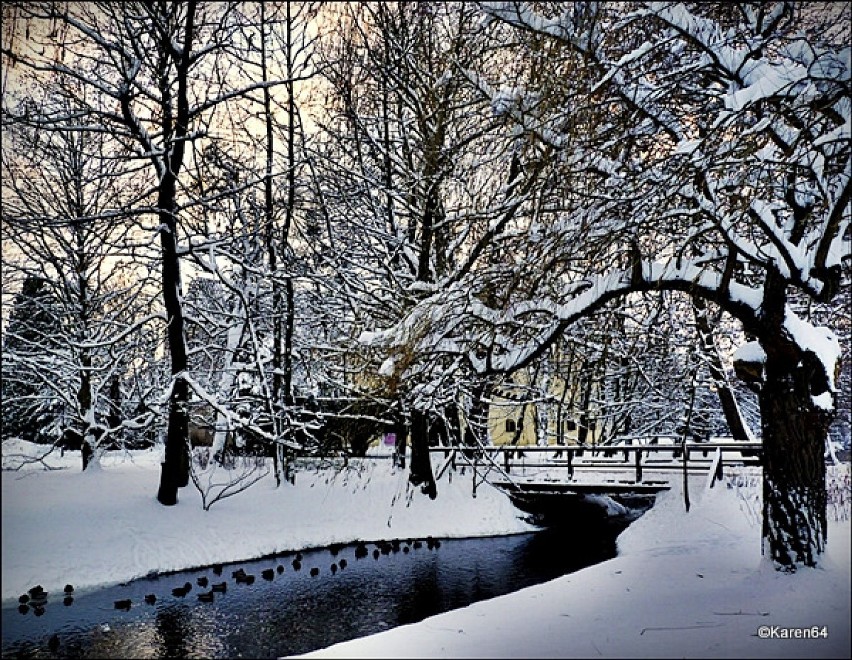 Zima w Parku Oliwskim 2011