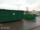 W Sandomierzu stanęły kontenery na poświąteczne choinki. Zobacz w jakich punktach miasta można wrzucić do kontenera drzewko. ZDJĘCIE 