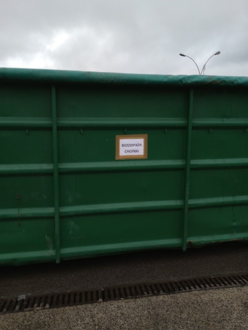 W Sandomierzu stanęły kontenery na poświąteczne choinki. Zobacz w jakich punktach miasta można wrzucić do kontenera drzewko. ZDJĘCIE 