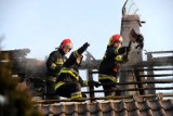 Sześć zastępów straży pożarnej gasiło pożar na ul. Dzielnicowej w Szczecinie [wideo]