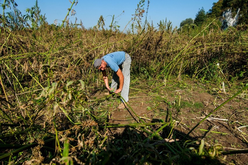 Ruszył powszechny spis rolny. Kogo obowiązuje, ile potrwa? 