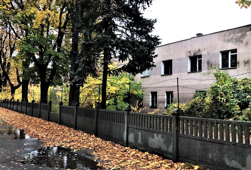 Okolice ulicy Towarowej nie są wizytówką miasta. Opuszczone przez kolejarzy tereny w centrum Leszna 