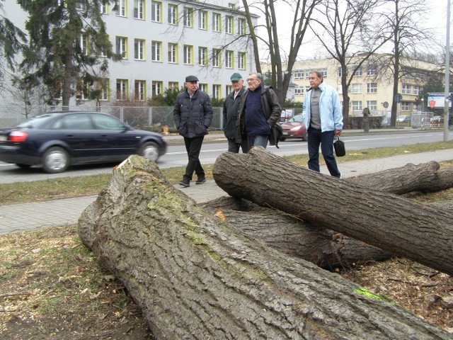 Miasto straciło niemal dwieście starych, potężnych drzew. Plany poszerzenia ul. Kwiatkowskiego do dwóch  jezdni mogą przynieść już niebawem więcej takich "niespodzianek" w Mościcach