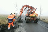 Wrocław: Objazd Leśnicy w tragicznym stanie (ZDJĘCIA)