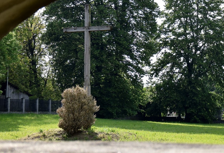Zamknięty cmentarz wojskowy przy ul. Pruchnickiej w Jarosławiu. Cmentarz ten powstał w 1915 roku [ZDJĘCIA]