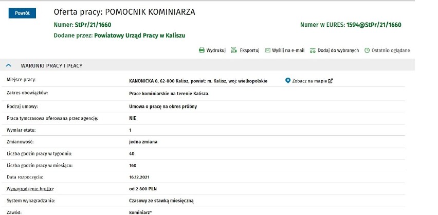 Oferty pracy w Kaliszu. Sprawdź ile można zarobić