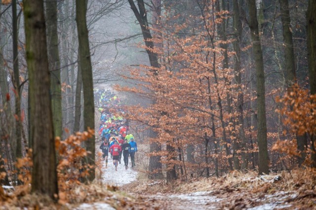 Bieg Grand Prix City Trail z Nationale-Nederlanden w Katowicach