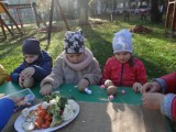 Dzień Ziemniaka w Publicznym Przedszkolu nr 10 w Radomsku. ZDJĘCIA
