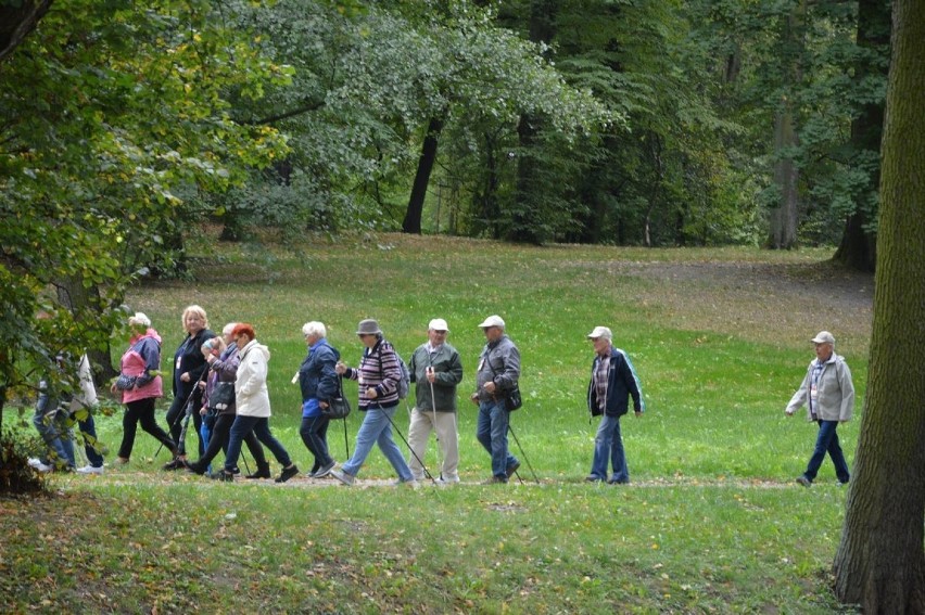 Pogoda nie odstraszyła seniorów, pomaszerowali już po raz siódmy [ZDJĘCIA]