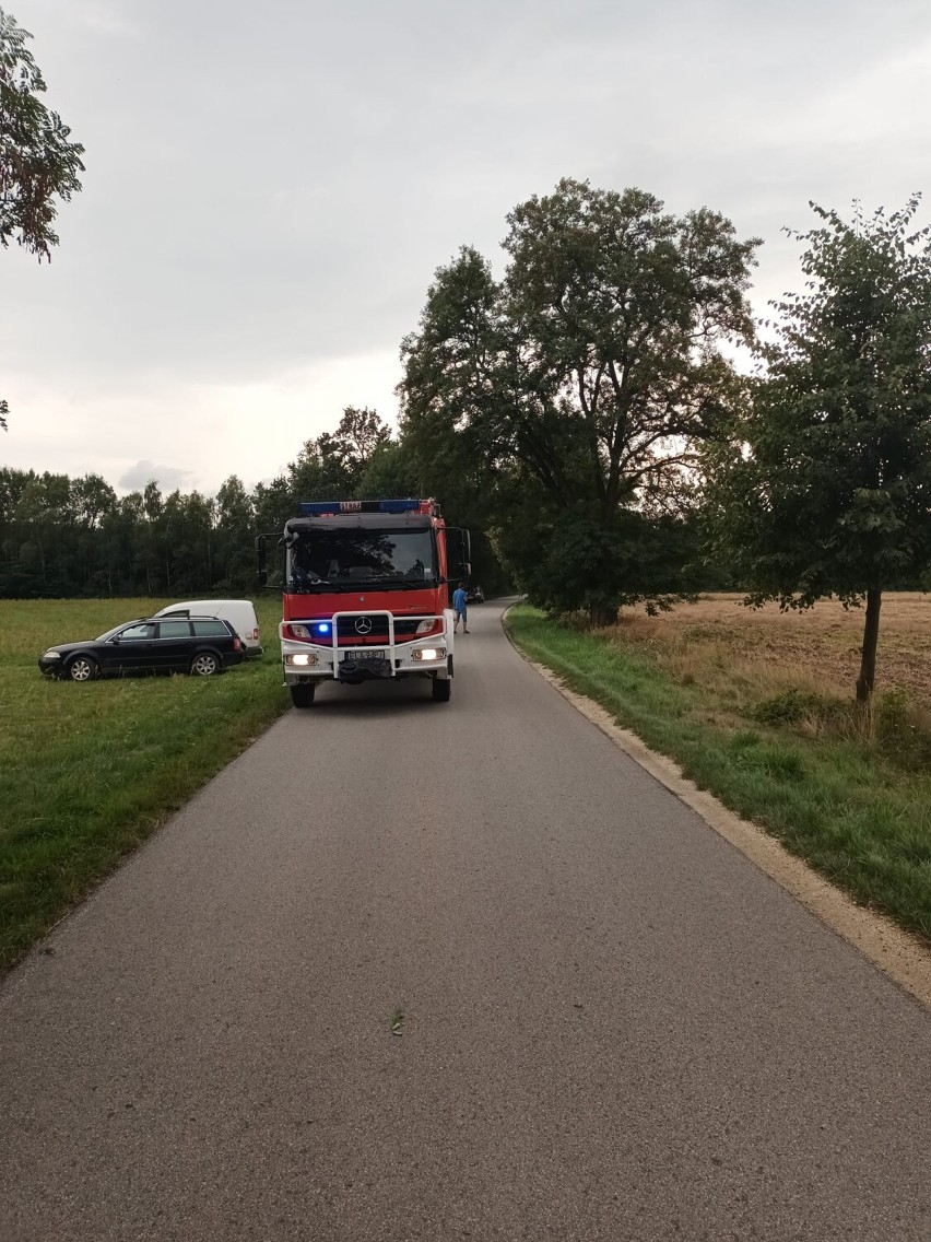 Śmiertelny wypadek w gminie Łask. Motocyklista zginął po zderzeniu z koniem