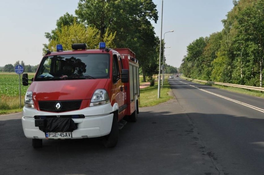 Podczas prac porządkowych w śremskim parku miejskim...