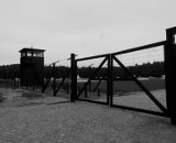 Śladami historii - obóz koncentracyjny Stutthof [Zdjęcia]