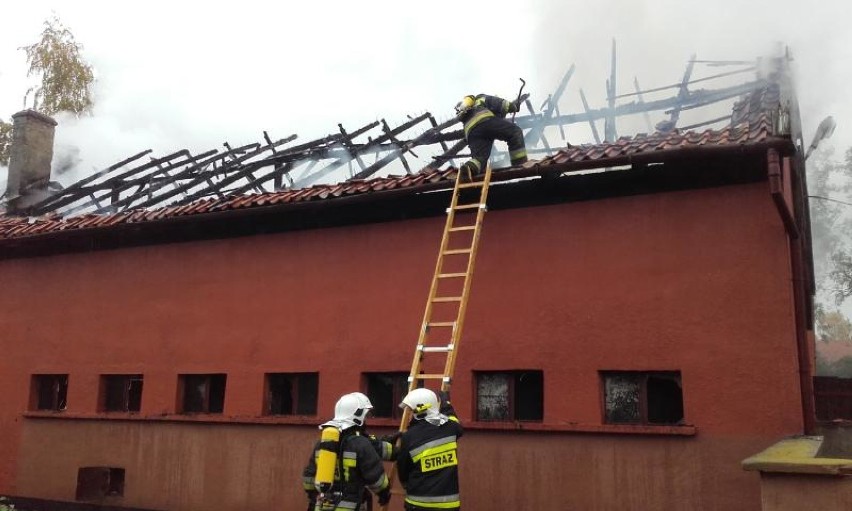 Pożar w Szlagnowie [ZDJĘCIA]. Płonął budynek mieszkalno-magazynowy