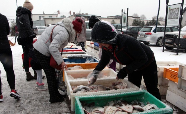Ryby morskie i słodkowodne można było kupić na targu rybnym zorganizowanym podczas Jarmarku Mikołajkowego w Mokrem pod Grudziądzem. Ile trzeba było zapłacić sprawdź na kolejnych zdjęciach>>>>