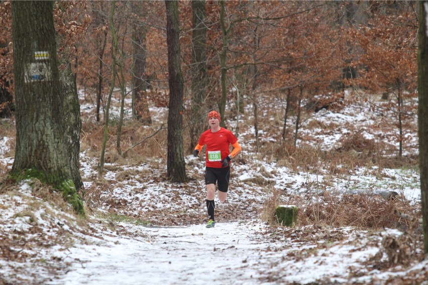 Ultramaraton 2015, Zielona Góra. Wyznacz sobie nowe granice