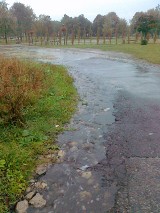 Internauta: Mały deszczyk, a park na Dolnej Syberce pływa...